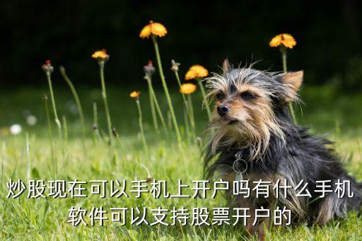 炒股現(xiàn)在可以手機上開戶嗎有什么手機軟件可以支持股票開戶的