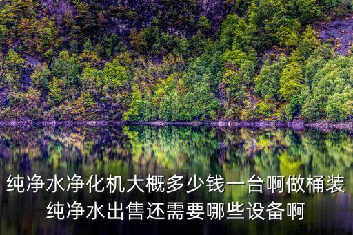 純凈水凈化機(jī)大概多少錢(qián)一臺(tái)啊做桶裝純凈水出售還需要哪些設(shè)備啊