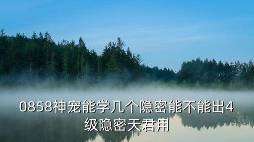 0858神寵能學幾個隱密能不能出4級隱密天君用