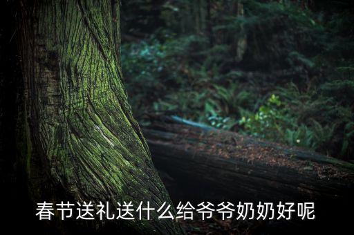高檔黑科技禮物，春節(jié)送禮送什么給爺爺奶奶好呢