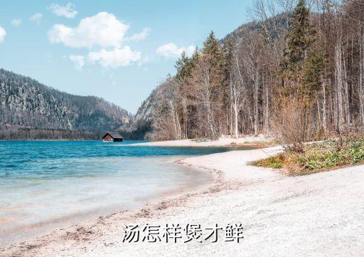 湯怎樣煲才鮮