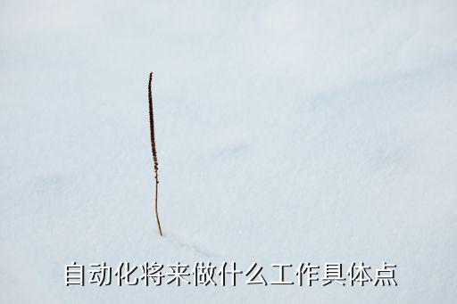 舉例說(shuō)明什么是自動(dòng)化，幫忙描述一下機(jī)械設(shè)計(jì)制造及其自動(dòng)化專業(yè)的走向就業(yè)情況將來(lái)具