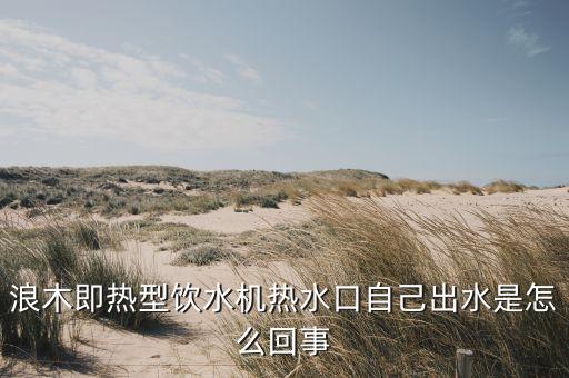 浪木即熱型飲水機(jī)熱水口自己出水是怎么回事