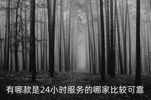 有哪款是24小時(shí)服務(wù)的哪家比較可靠