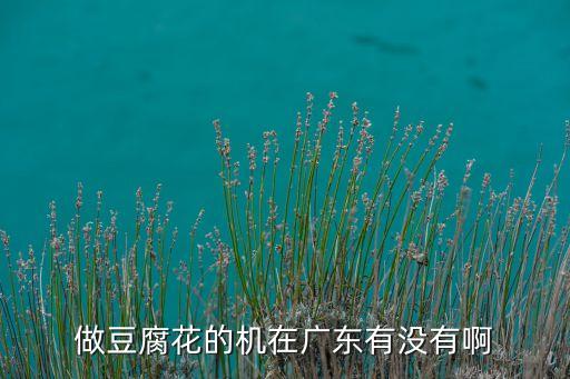 做豆腐花的機(jī)在廣東有沒有啊