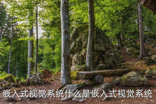 計算機(jī)視覺是什么，計算機(jī)視覺計算機(jī)圖形學(xué)圖像處理的區(qū)別和聯(lián)系