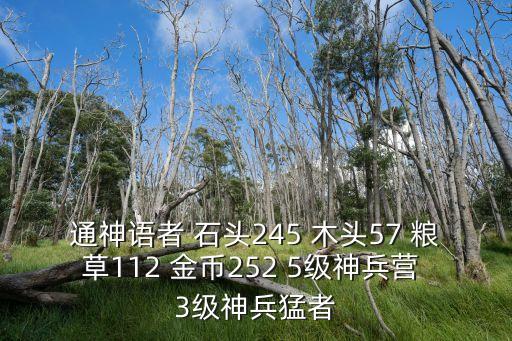 通神語者 石頭245 木頭57 糧草112 金幣252 5級神兵營 3級神兵猛者