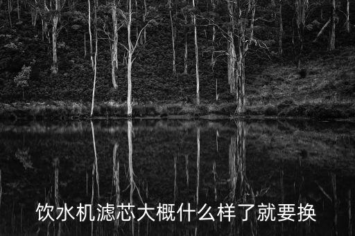 飲水機(jī)濾芯大概什么樣了就要換
