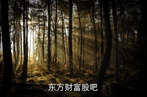 東方財(cái)富股吧