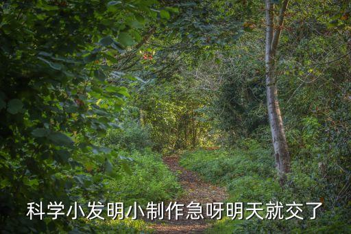 小科技小發(fā)明怎么做，科學(xué)小發(fā)明小制作急呀明天就交了