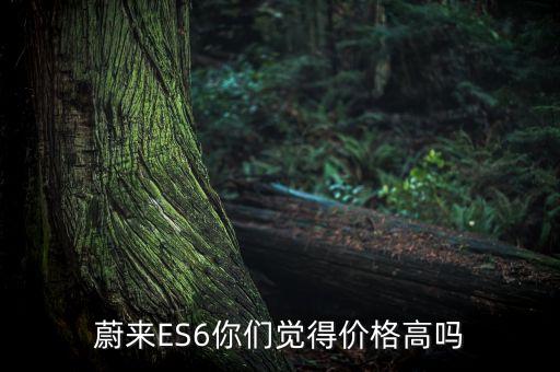 蔚來ES6你們覺得價格高嗎