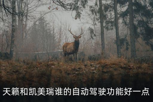 最好的自動(dòng)駕駛汽車，什么汽車的自動(dòng)波好