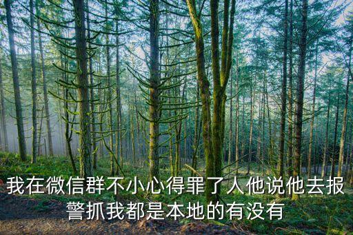 我在微信群不小心得罪了人他說他去報(bào)警抓我都是本地的有沒有