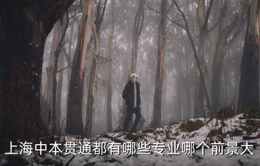 上海中本貫通都有哪些專業(yè)哪個前景大