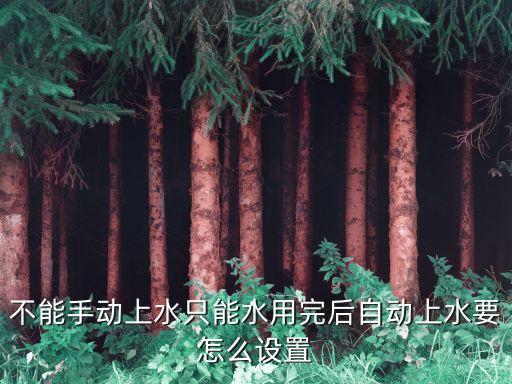 不能手動(dòng)上水只能水用完后自動(dòng)上水要怎么設(shè)置