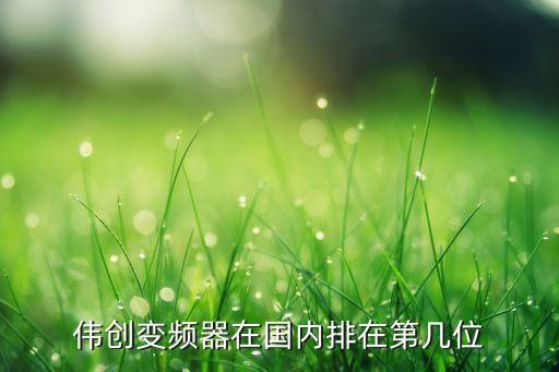 偉創(chuàng)變頻器在國內(nèi)排在第幾位