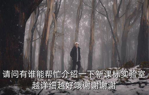 請(qǐng)問有誰能幫忙介紹一下新課標(biāo)實(shí)驗(yàn)室越詳細(xì)越好哦謝謝謝謝