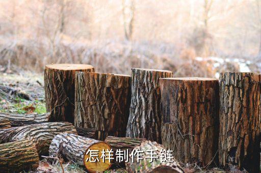 小紅書(shū)手工教程閨蜜手鏈，手工編織手鏈視屏教程