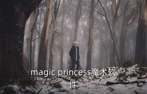 magic princess魔術(shù)軟件