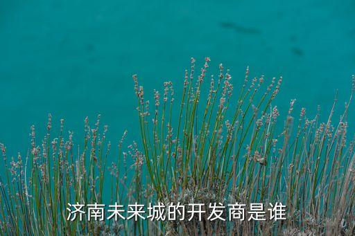 城市未來科技有限公司，濟南未來城的開發(fā)商是誰
