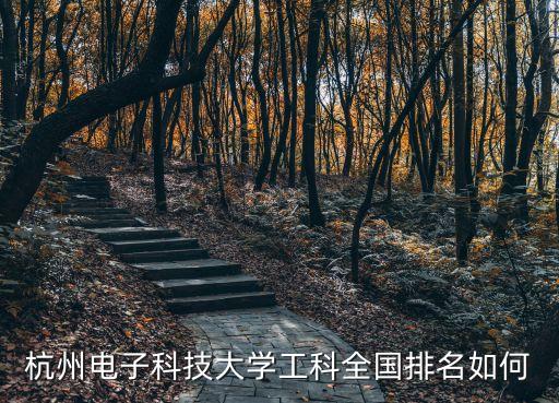 杭州電子科技大學(xué)工科全國排名如何