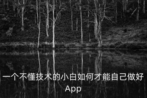 怎樣制作app軟件教程，怎樣制作一個(gè)軟件