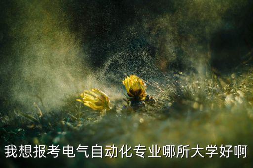 我想報考電氣自動化專業(yè)哪所大學(xué)好啊