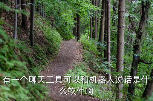 有一個(gè)聊天工具可以和機(jī)器人說話是什么軟件啊