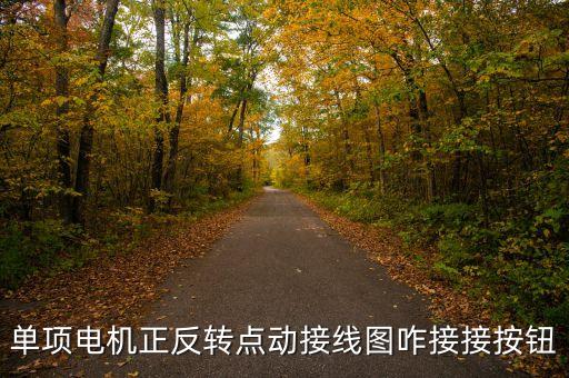 單項(xiàng)電機(jī)正反轉(zhuǎn)點(diǎn)動(dòng)接線圖咋接接按鈕