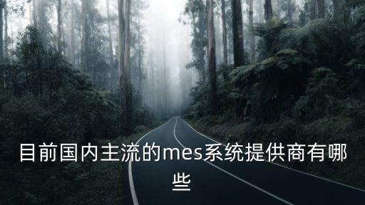 目前國內(nèi)主流的mes系統(tǒng)提供商有哪些