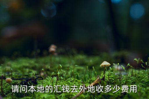 請(qǐng)問(wèn)本地的匯錢(qián)去外地收多少費(fèi)用