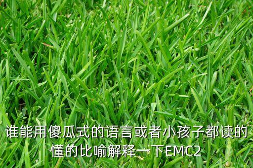 誰能用傻瓜式的語言或者小孩子都讀的懂的比喻解釋一下EMC2