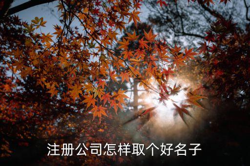 注冊(cè)公司怎么取名字，注冊(cè)公司怎樣取個(gè)好名子