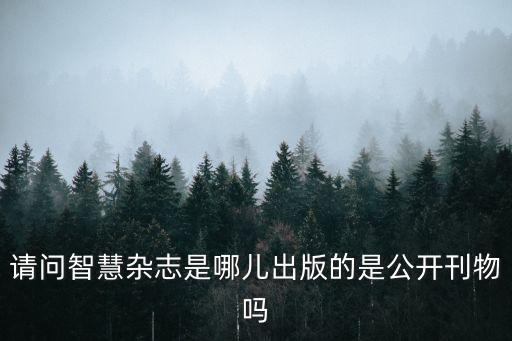 請問智慧雜志是哪兒出版的是公開刊物嗎