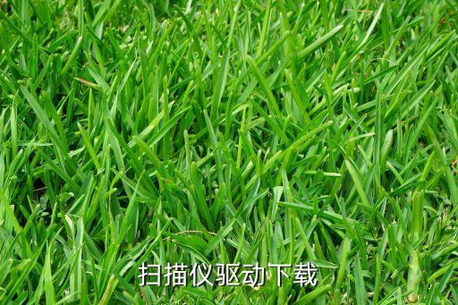 萬能掃描儀驅(qū)動下載中文版，掃描儀驅(qū)動下載