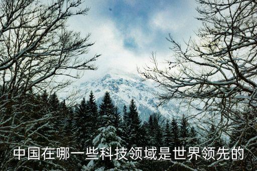 中國在哪一些科技領(lǐng)域是世界領(lǐng)先的