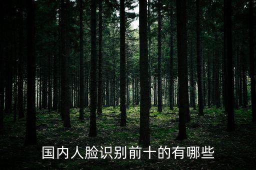 中國人工智能公司排名前十名是，請問國內(nèi)前十名機(jī)器人公司中有幾家是專注于服務(wù)機(jī)器人的