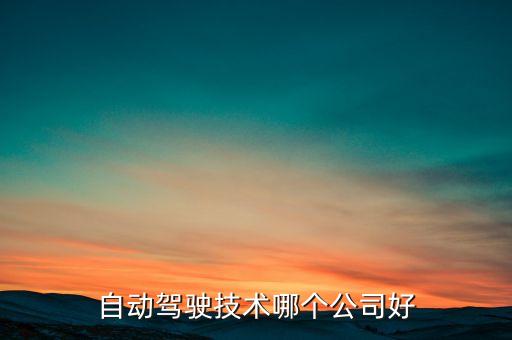 自動(dòng)駕駛技術(shù)哪個(gè)公司好
