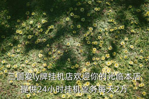 三國(guó)愛(ài)ly牌掛機(jī)店歡迎你的光臨本店提供24小時(shí)掛機(jī)業(yè)務(wù)每天2萬(wàn)