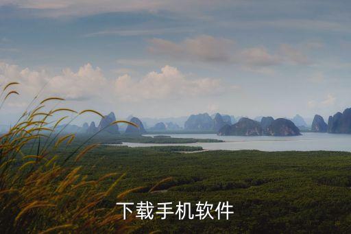 下載手機(jī)軟件