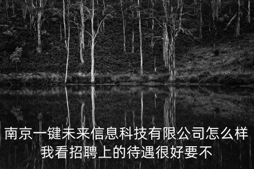 南京一鍵未來(lái)信息科技有限公司怎么樣我看招聘上的待遇很好要不