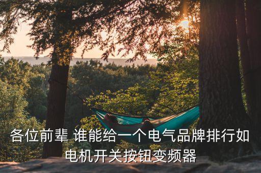 各位前輩 誰(shuí)能給一個(gè)電氣品牌排行如電機(jī)開(kāi)關(guān)按鈕變頻器