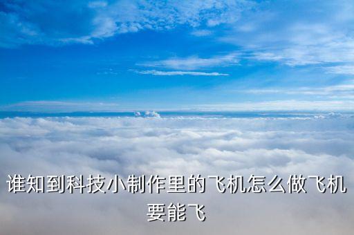 誰知到科技小制作里的飛機(jī)怎么做飛機(jī)要能飛