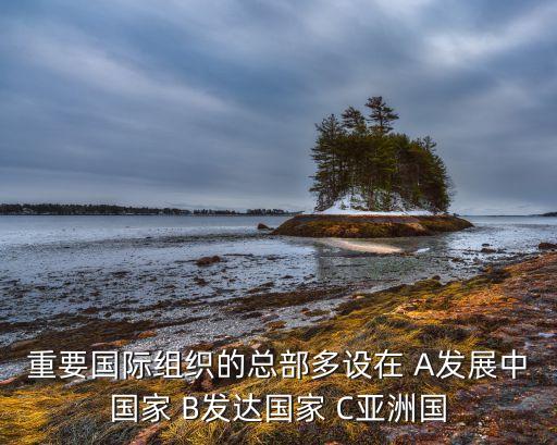 國家人工智能創(chuàng)新發(fā)展試驗區(qū)，重要國際組織的總部多設在 A發(fā)展中國家 B發(fā)達國家 C亞洲國