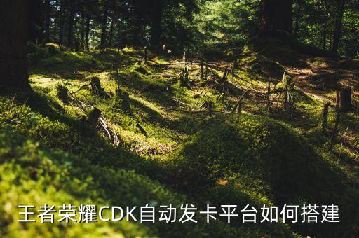 自動(dòng)發(fā)卡平臺(tái)注冊(cè)要錢(qián)嗎，用自動(dòng)發(fā)卡機(jī)辦銀行卡還要收卡費(fèi)嗎