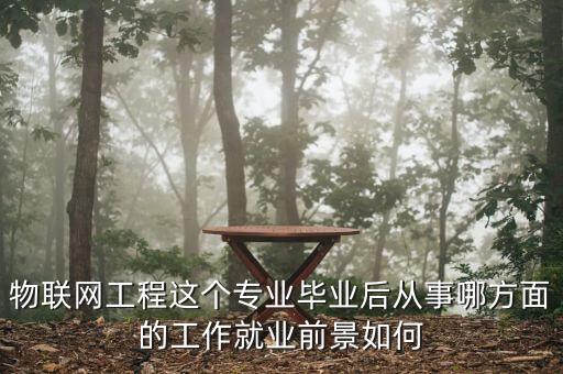 物聯(lián)網(wǎng)工程這個專業(yè)畢業(yè)后從事哪方面的工作就業(yè)前景如何