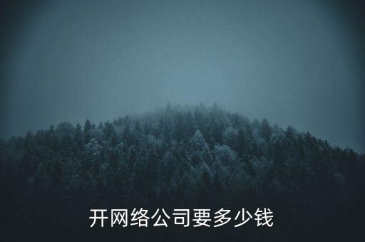 注冊網(wǎng)絡(luò)公司需要什么條件，制作一個自己的網(wǎng)絡(luò)公司需要什么
