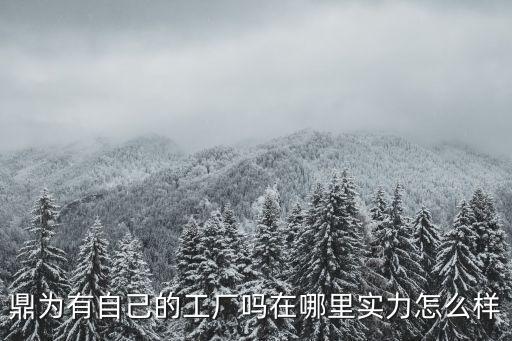 鼎為有自己的工廠嗎在哪里實力怎么樣