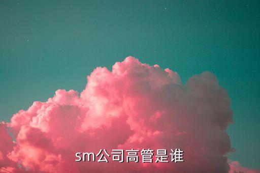 埃夫特機(jī)器人高管，sm公司高管是誰
