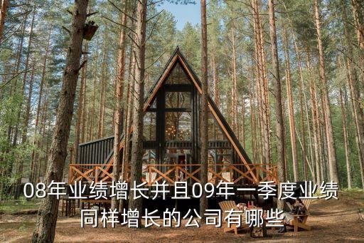 08年業(yè)績(jī)?cè)鲩L(zhǎng)并且09年一季度業(yè)績(jī)同樣增長(zhǎng)的公司有哪些